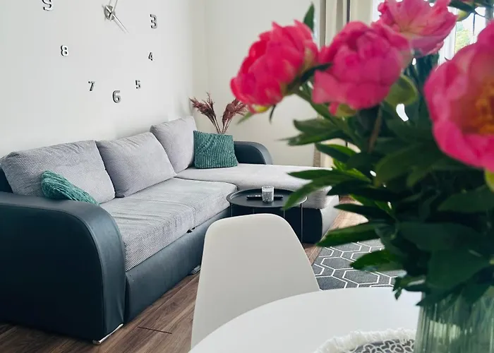 City Apartment Czestochowa Centrum 2-Bedroom